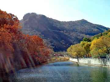 新澳天天开奖资料大全旅游团，百花净斑汤